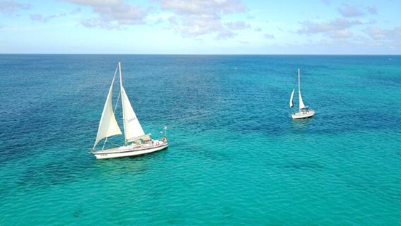 Tropical Sailing Experience with BBQ Lunch or BBQ Dinner in Aruba
