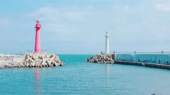 韓國東釜山探索之旅半日遊 中文英文導遊2431