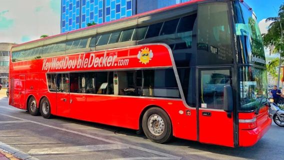 Desde Miami: Espectáculo de Vida Silvestre Everglades, hidrodeslizador y traslado en autobús