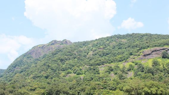 Wisata Pribadi Sehari Penuh di Bukit Nandi dengan Makan Siang