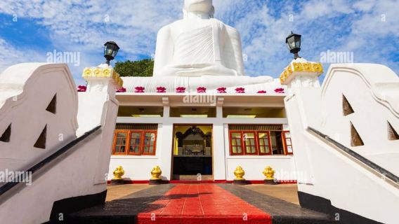 Dari Kolombo: Perjalanan Sehari Penuh ke Kandy, Pinnawala, dan Pabrik Teh