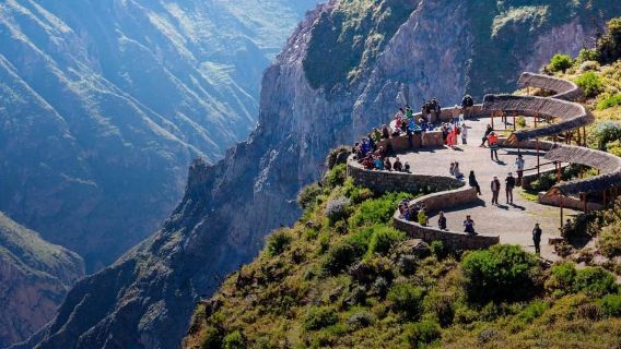From Arequipa: 1-Day Colca Canyon Tour with Transfer to Puno