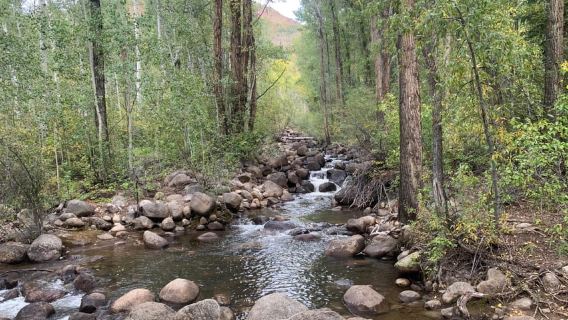 Aspen: Guided Light Hike with Roaring Fork River Views