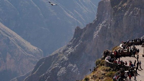 Excursión de 1 día al Cañón del Colca + Aguas Termales
