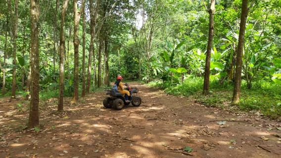 Krabi: Cattery's Ultimate Jungle Odyssey w/ Thrilling Addons