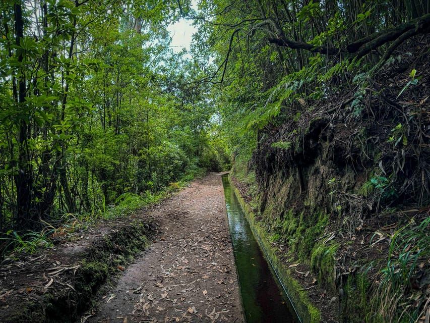 Hiking Madeira: Levada do Rei and the Majestic Laurissilva