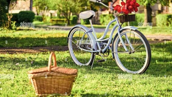 Picnic en medio de un viñedo en bicicleta eléctrica