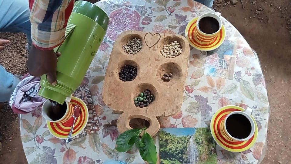 아루샤: Cofee, Materuni Falls 및 Chemka 온천 당일 여행