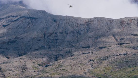 日本九州-熊本來回-大分海之卵水族館-春日神社-大分精品遊