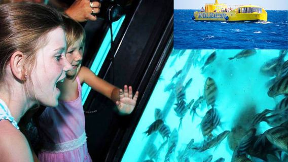 Hurghada Red Sea Glass Boat Tour + Snorkeling + Hotel Transfers
