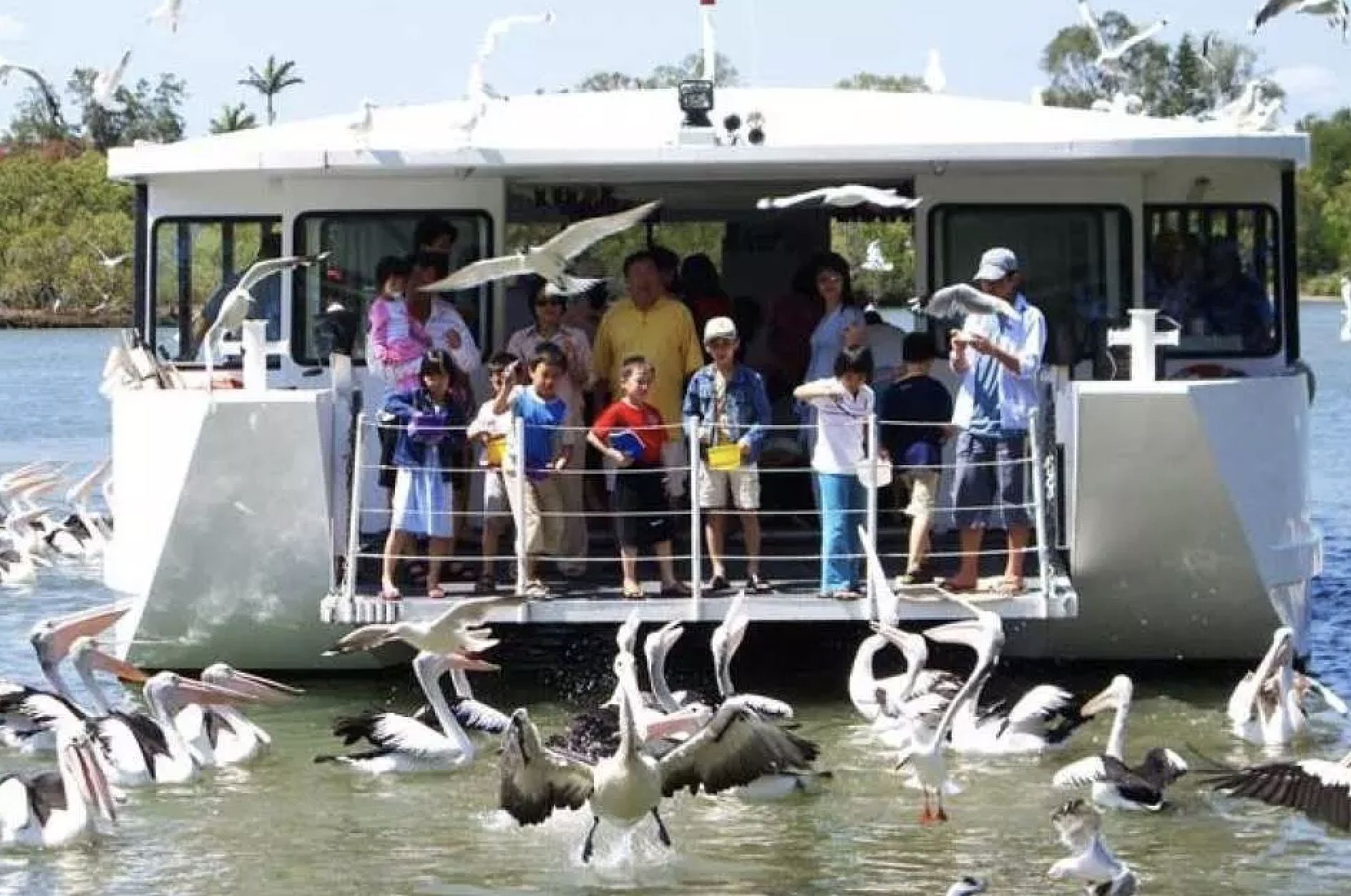黃金海岸熱帶水果世界+捉蟹一日遊【中文司導+市區範圍接送】