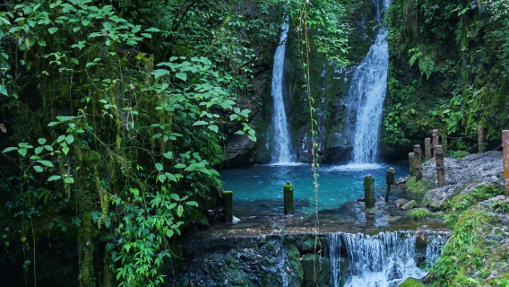 青城山一日遊【2-8人私人導覽-含門票-成都三環內接送-】