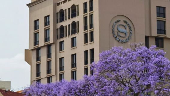 南非&比勒陀利亞一日遊【首都經典地標漫遊線】