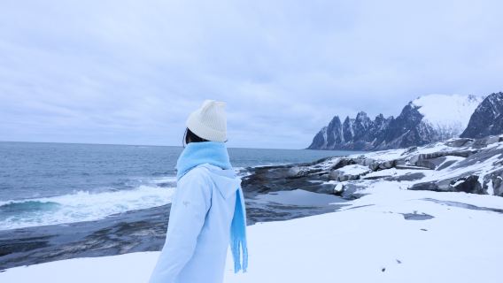 Dari Tromsø, Norwegia: perjalanan satu hari ke Pulau Senja (Bahasa Mandarin/Inggris)
