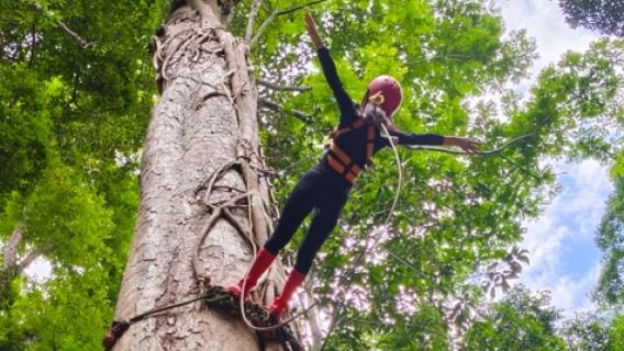 Сишуанбаньна, Цзинхун, однодневный тур с пешим походом по тропическому лесу горы Цзино и индивидуальным трансфером/арендой автомобиля с водителем
