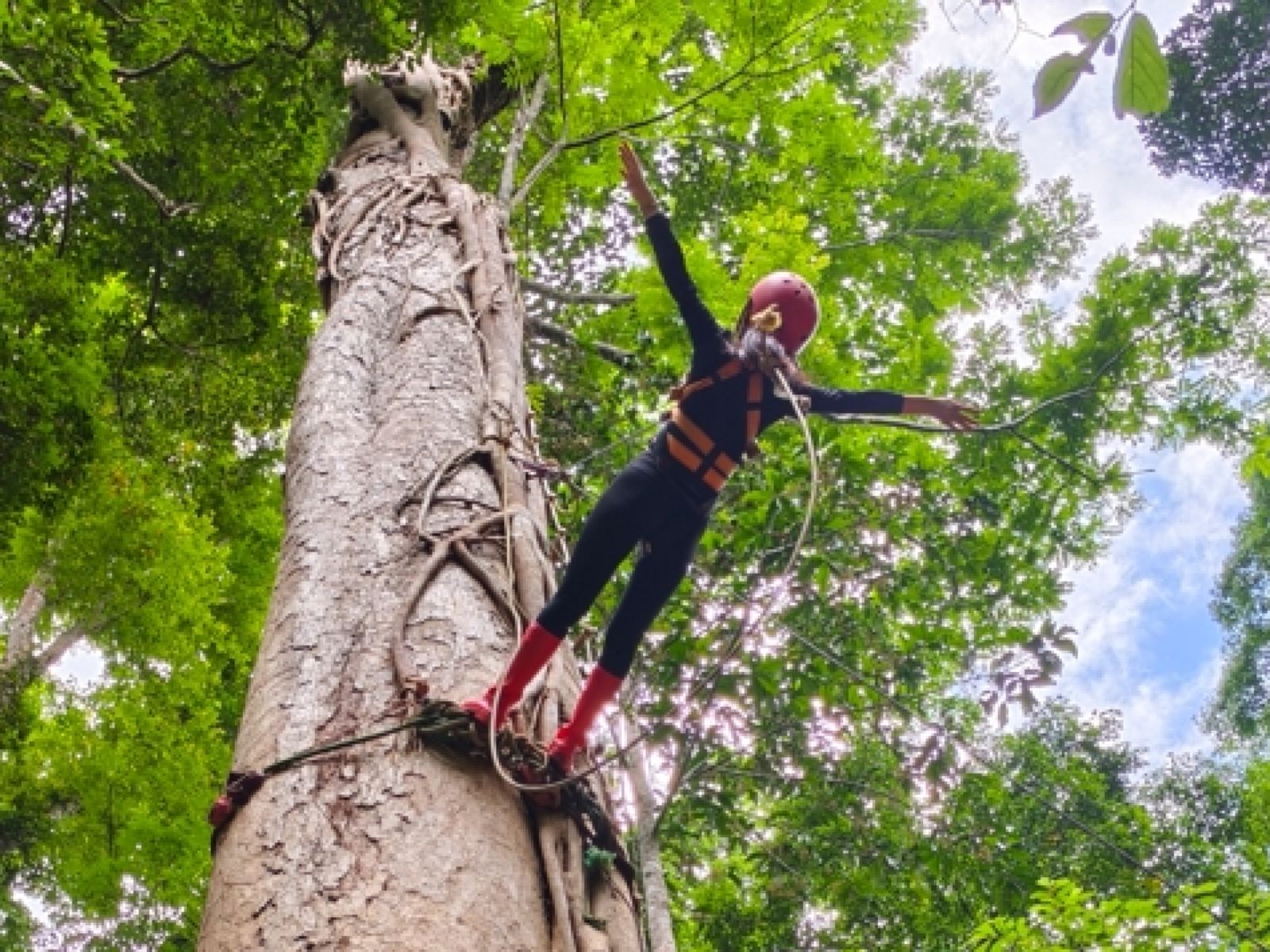 Xishuangbanna Jinghong Jinuo Mountain Rainforest Hiking Private Charter 1-Day Tour