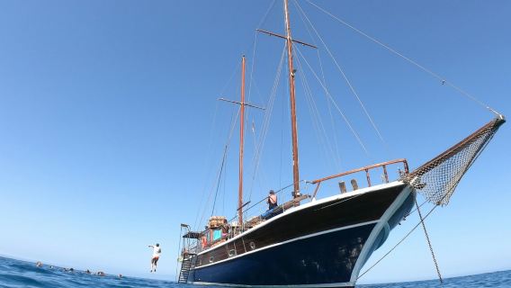 Gozo & Comino: cruise + lunch + transfer + open bar