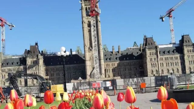 Canada + Ottawa city classic day tour - adjustable itinerary - customizable