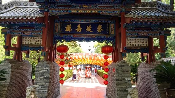 大槐樹半日遊【2-10人團+深度導覽】