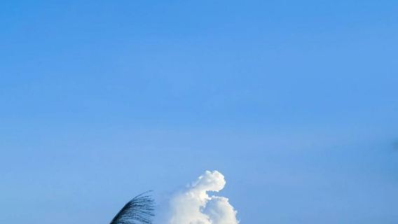 巴西里約熱內盧基督像-塞勒隆階梯-糖麵包山-全境私享行