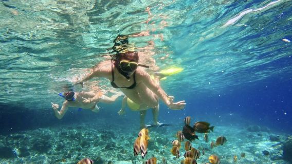 2-Hour Snorkeling Experience in Nusa Penida, Bali