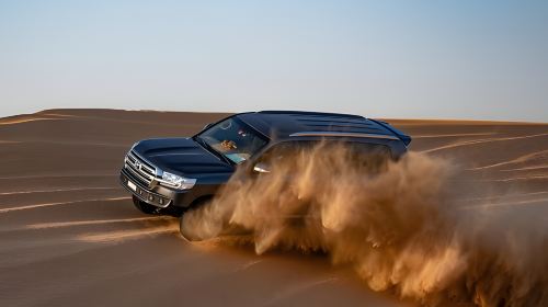 Abu Dhabi: Desert Safari with Central/ Home & Hotel Pickup, Dinner, Live Shows and Sand Boarding 8