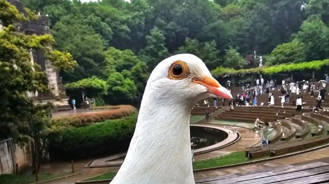 15人團鐘山風景｜中山陵景區+美齡宮+明孝陵+音樂台打卡一日活動