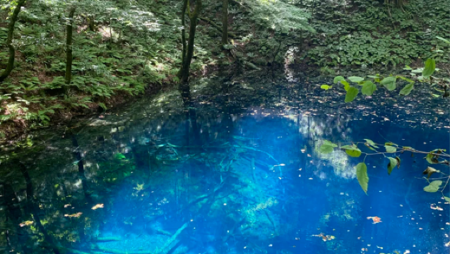 青森來回：白神山地十二湖 + 千疊敷海岸（不含門票）