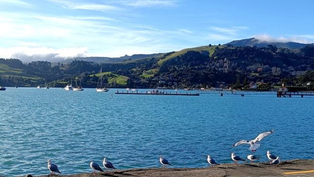 紐西蘭基督城出發：阿卡羅阿一日之旅（專屬客服）