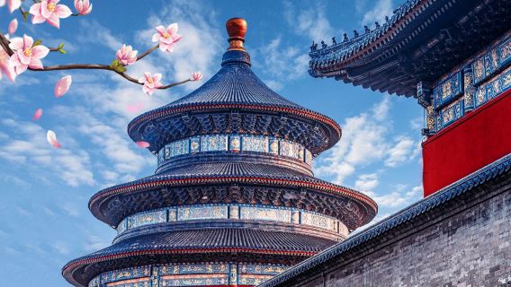 Lawatan setengah hari ke Kuil Surga Beijing + Dewan Doa untuk Hasil yang Baik + Altar Bulatan + Tembok Gema - tiket kombo - pelbagai jenis pakej tersedia