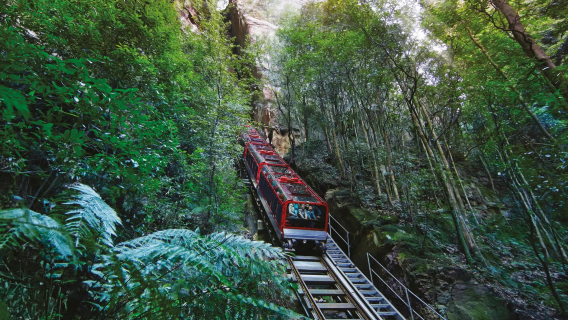 Lawatan Sehari ke Taman Negara Blue Mountains + Zoo Sydney di Australia (Termasuk Pengalaman Berfoto dengan Koala)