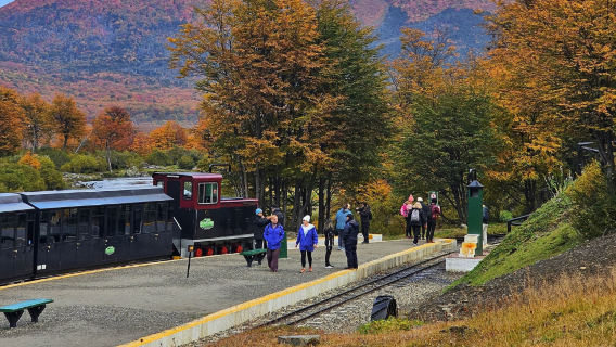 Ushuaia: Excursão ao Parque Nacional Tierra del Fuego para passageiros de cruzeiro
