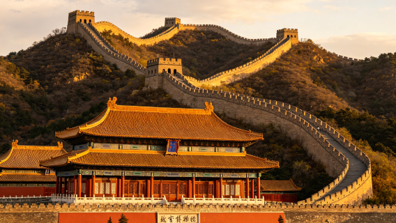 Beijing Tiananmen square + the palace museum + Mutianyu great wall 1-day tour - private chartered tour - includes admission ticket