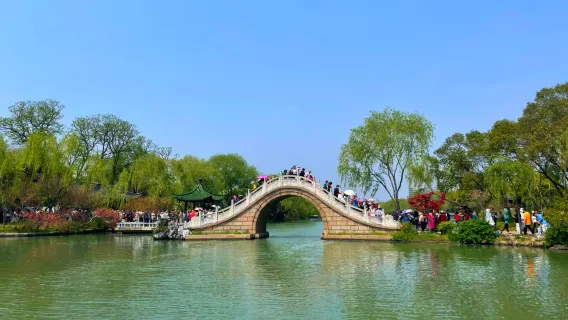 Excursión de un día para experimentar la cultura del té en Hangzhou: Lago Oeste, Meijiawu y campos de té Longjing (vehículo privado)