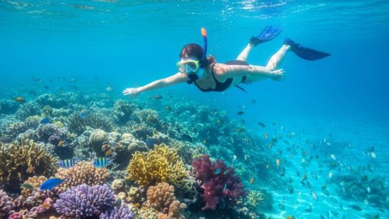 Nusa Penida: Snorkeling at 3-4 Best Spots with Underwater Photos