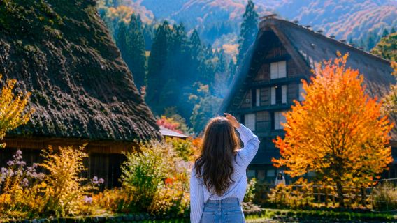 [Partida garantida] 3 principais atrações de Nagoia: Tour diário de Shirakawa, Takayama e Gujo Hachiman