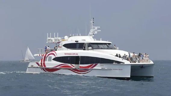 Passeio de barco para observação de baleias em Sydney (encontro com baleias jubarte migratórias + explicação profissional da tripulação + registro dos marcos urbanos)