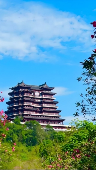 海口+儋州儋陽樓+海南熱帶植物園1日遊（真純玩|無套路）
