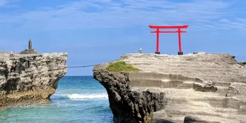 日本東京+伊豆半島+城崎海岸+門脅吊橋+熱海溫泉包車一日遊