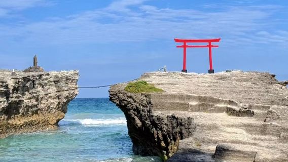 Excursion d'une journée en voiture avec chauffeur à Tokyo + Péninsule d'Izu + Côte de Kiiroi + Pont suspendu de Kadowaki + Sources chaudes d'Atami