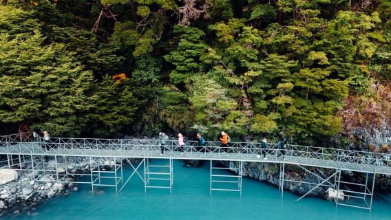 El Calafate: Krydstogt til alle gletsjere l Spegazzini & Upsala