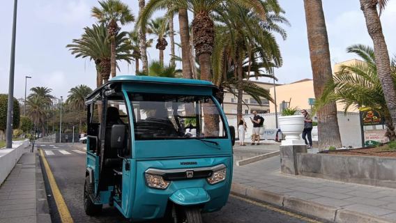 Norte Express: Classic Route in Puerto de la Cruz, Tenerife by Tuk Tuk (1 hr)