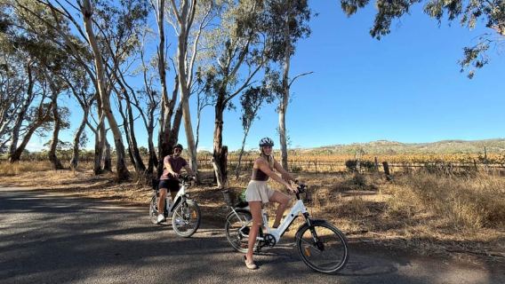 McLaren Vale: Self-Guided eBike Wine & Nature Experience