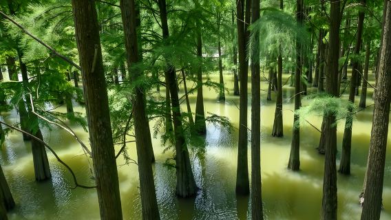【私人包車】杭州出發青山湖 吳越文化博物館 私家團一日遊