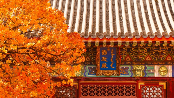 Tur pribadi ke Taman Xiangshan Beijing + Istana Musim Panas [Sewa kendaraan pribadi VIP/termasuk penjemputan + tiket masuk]
