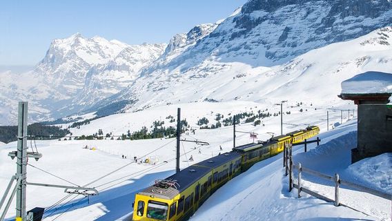 GrindelwaldTours