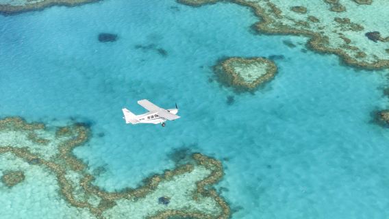 Airlie BeachTours