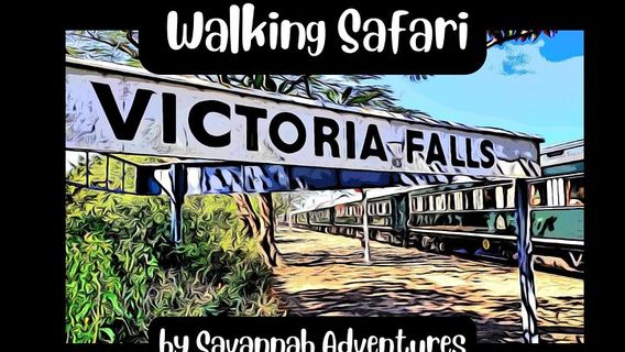 Victoria FallsTours