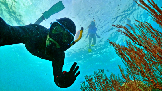Phu Quoc IslandTours