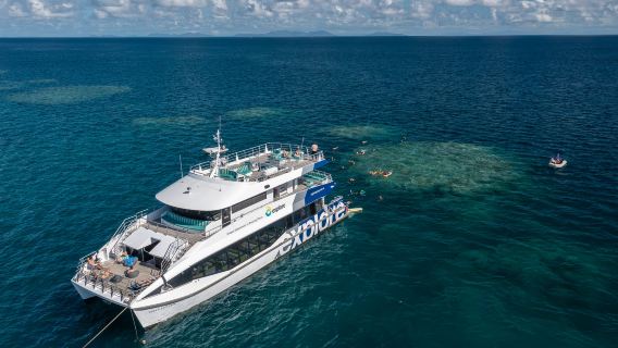 Hamilton IslandTours